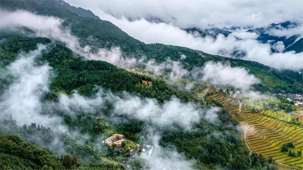 Where Is The Ideal Habitat For Giant Pandas