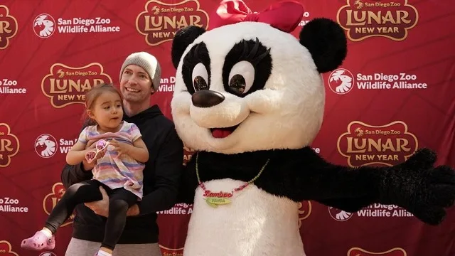 Celebrate the 2025 Lunar New Year with Pandas San Diego Zoo