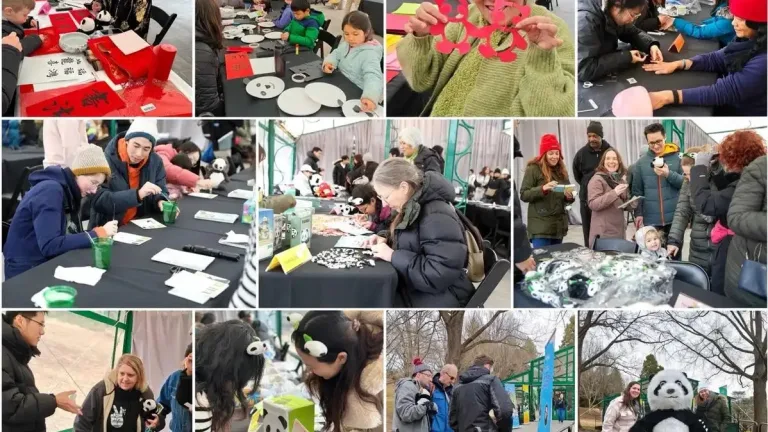 Chinese Embassy Hosts Giant Panda Themed Cultural Experience Event