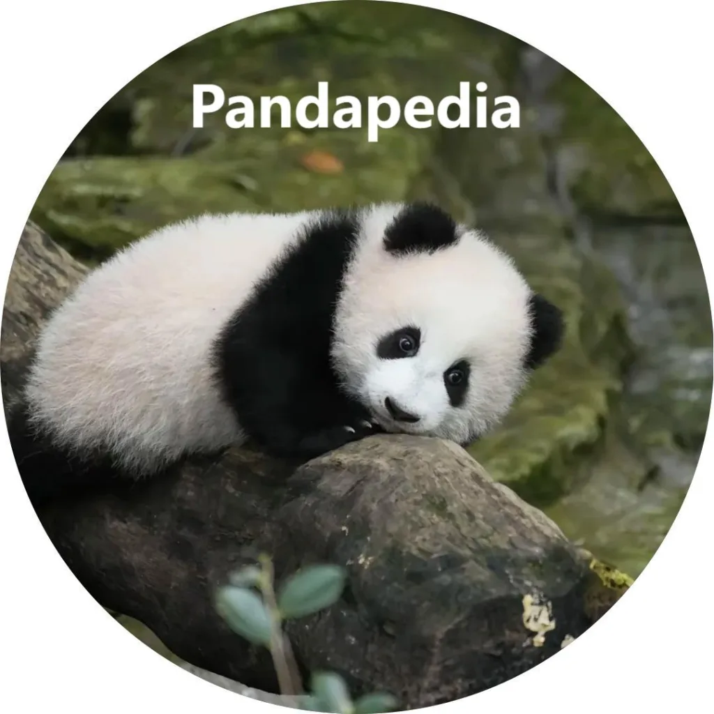 Pandapedia