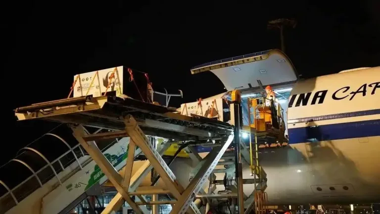 Giant pandas he feng and lan yun depart for a 10 year stay in austria 1