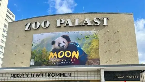 Panda moon special screening held in berlin, germany